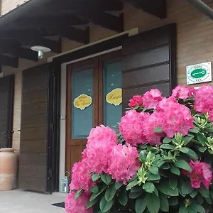 https://albergo-da-ca-vecia.emilia-romagnahotels.net